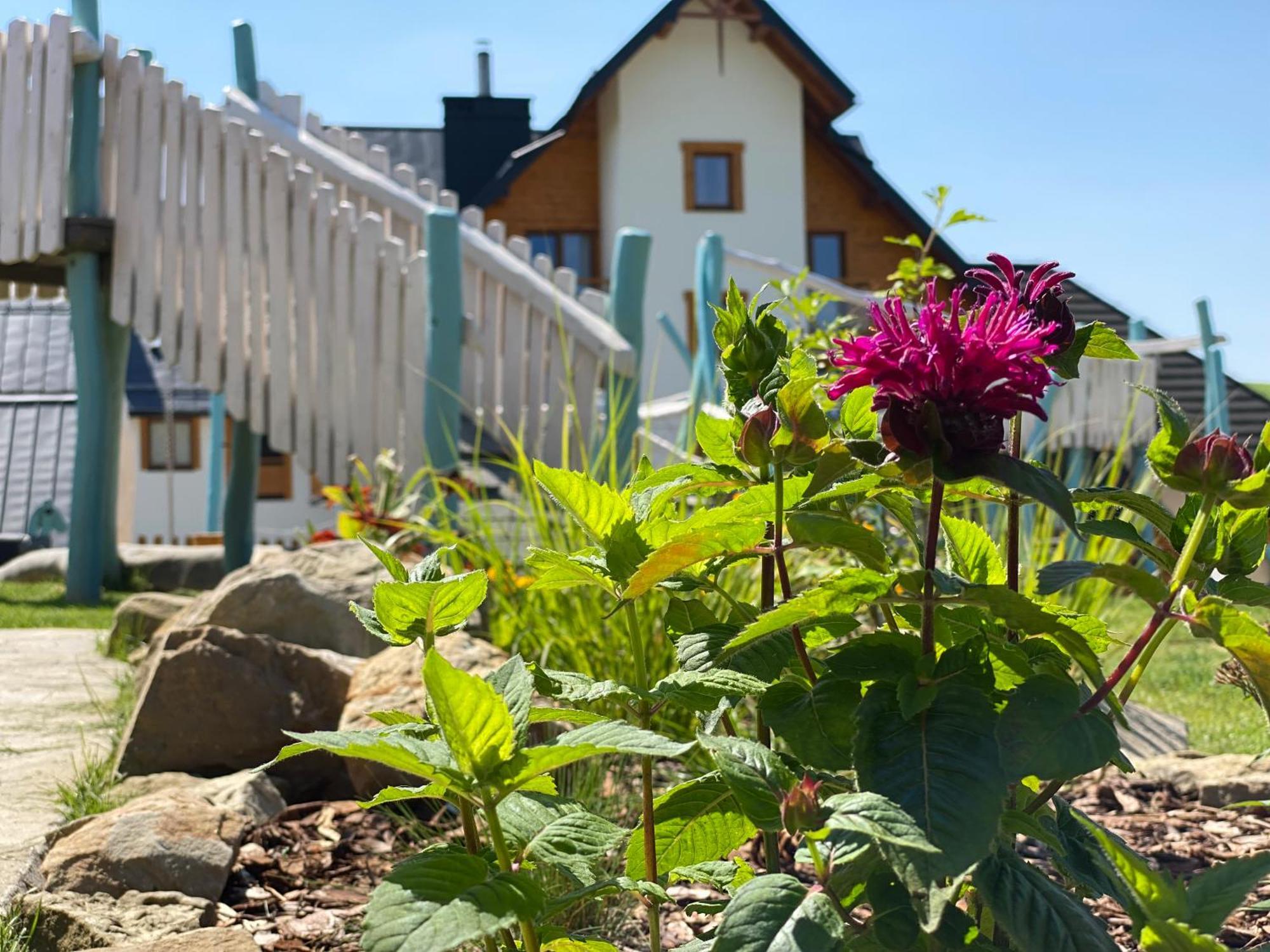 Tylickie Wzgorze Spa & Wellness Pensjonat Dla Rodzin Z Dziecmi Tylicz Exterior foto